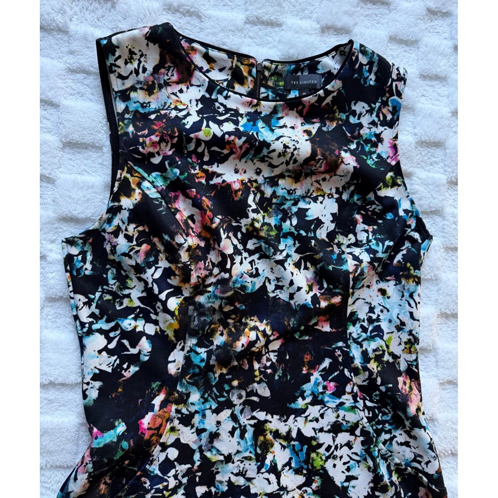 The Limited Floral Ruffle Hem Fit & Flare Dress Black Multi Sleeveless XS EUC